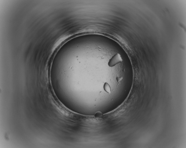X0000096441078200801311423
