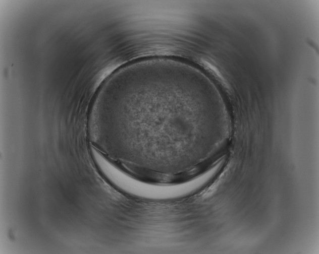 X0000096441081200801311423