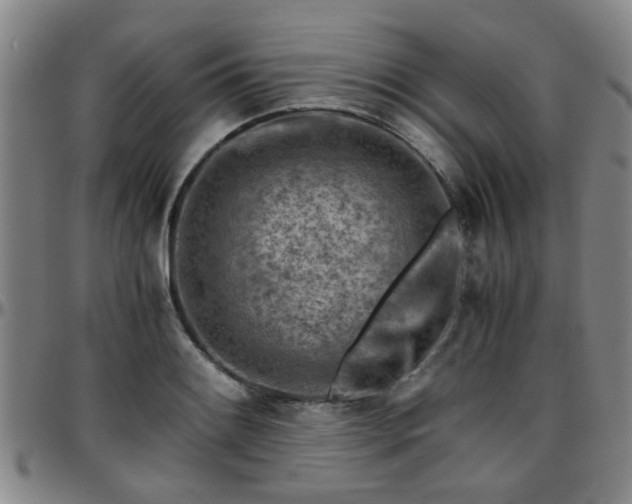 X0000096441084200801311423