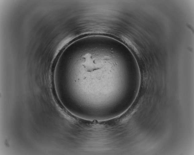 X0000096441085200801311423