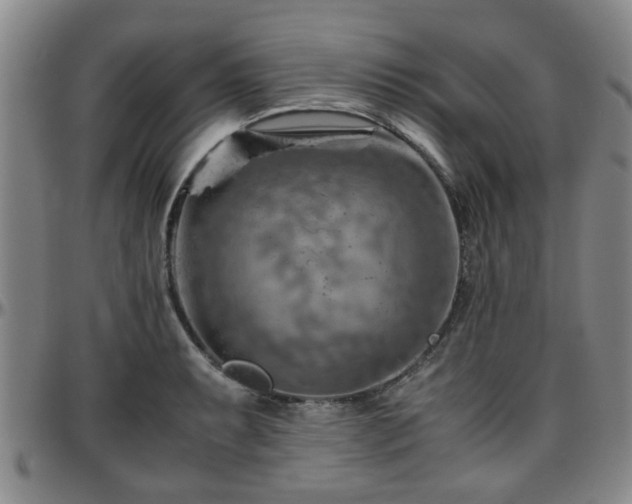 X0000096441087200801311423