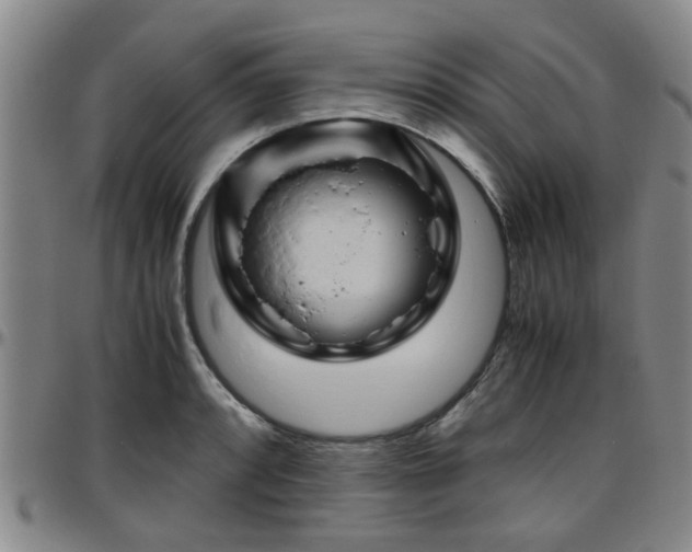 X0000096441088200801311423