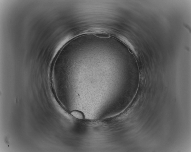 X0000096441091200801311423