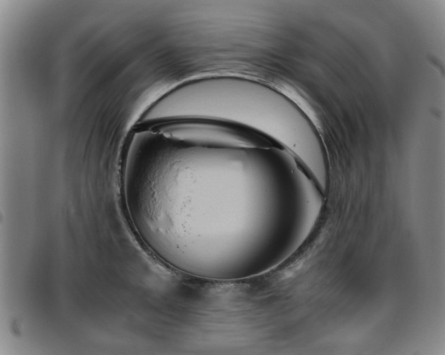 X0000096441093200801311423