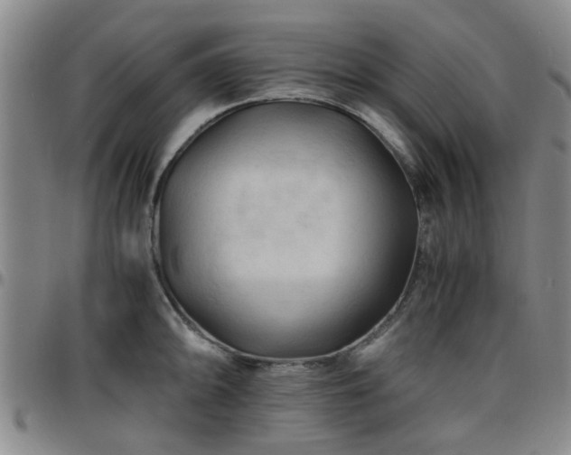 X0000096441094200801311423