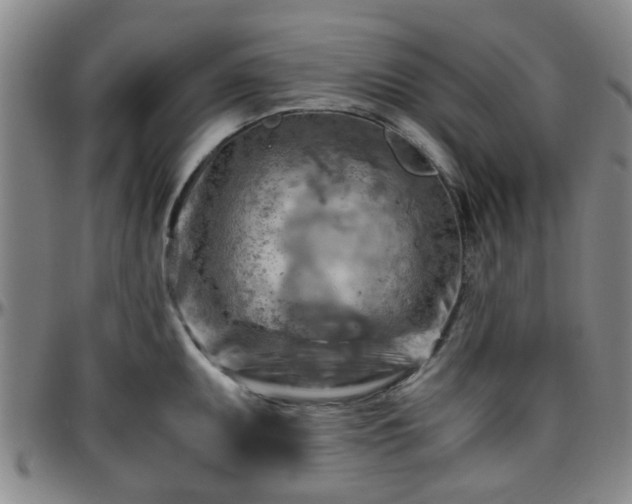 X0000096441095200801311423