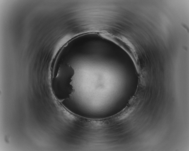 X0000096441096200801311423