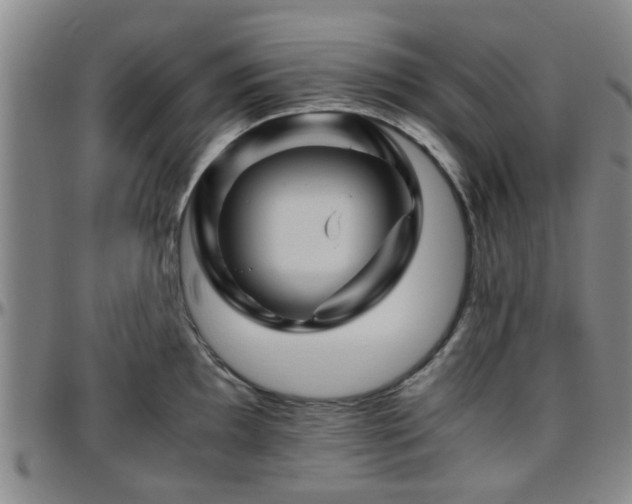 X0000096441097200801311423