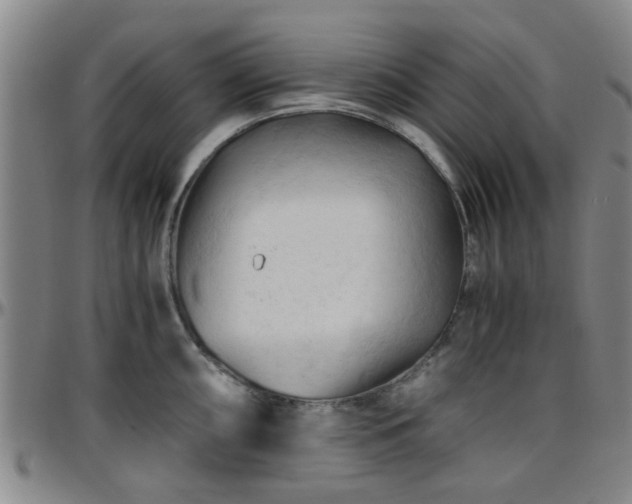 X0000096441098200801311423