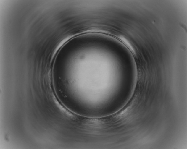 X0000096441100200801311423