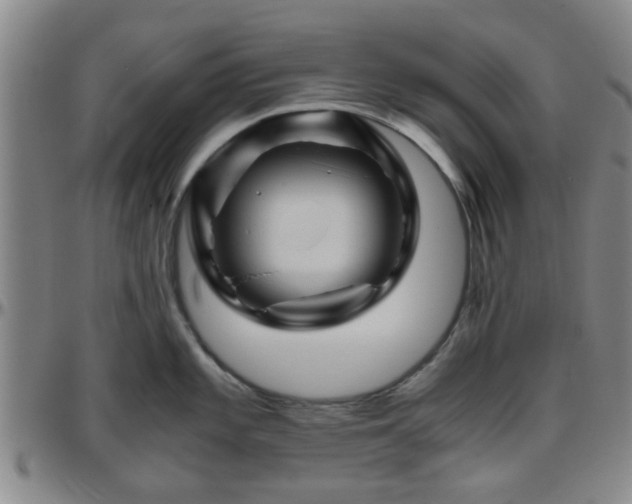X0000096441101200801311423