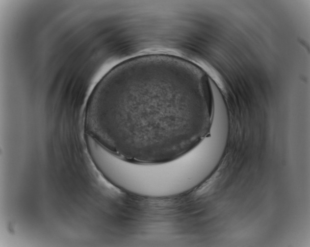 X0000096441102200801311423
