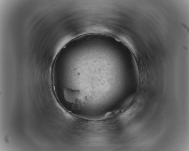 X0000096441103200801311423