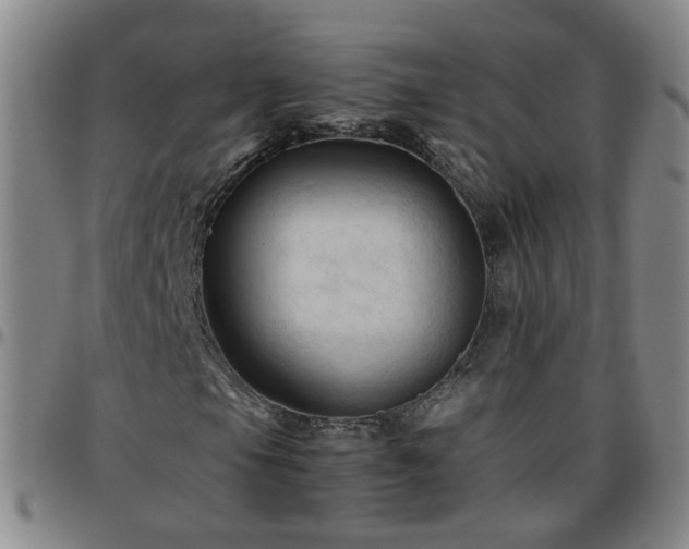X0000096441105200801311422