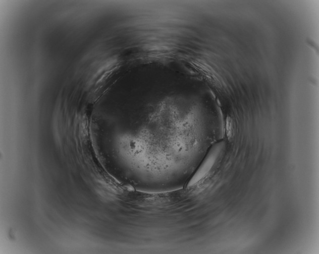 X0000096441107200801311423
