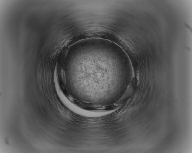X0000096441108200801311423