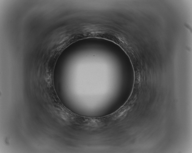 X0000096441109200801311423