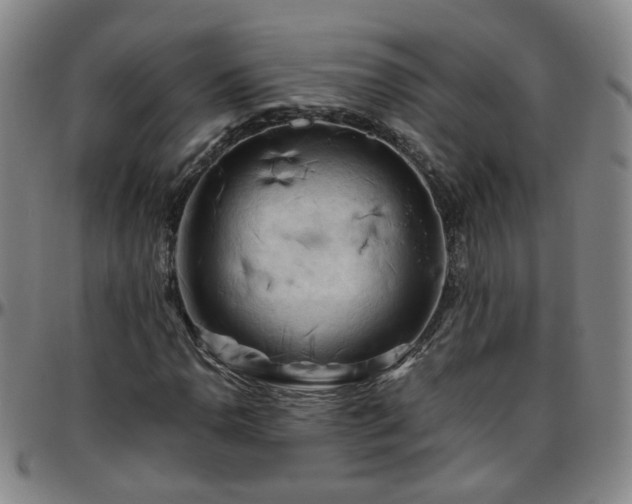 X0000096441110200801311423