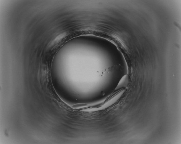 X0000096441111200801311423