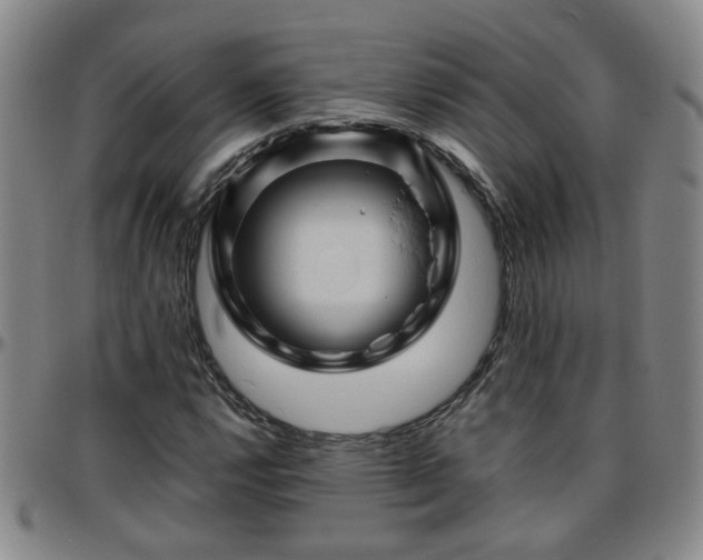 X0000096441112200801311423