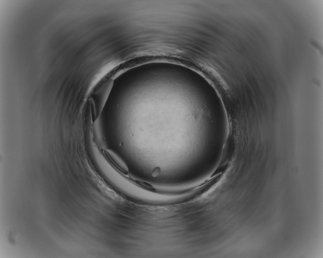 X0000096441114200801311423