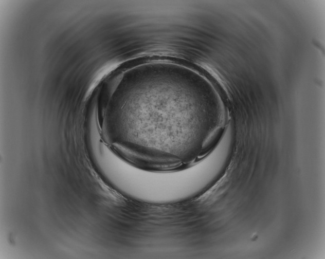 X0000096441115200801311423