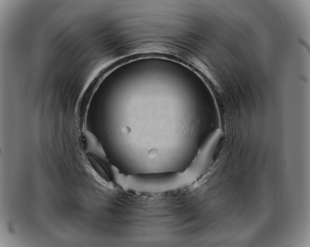 X0000096441116200801311423