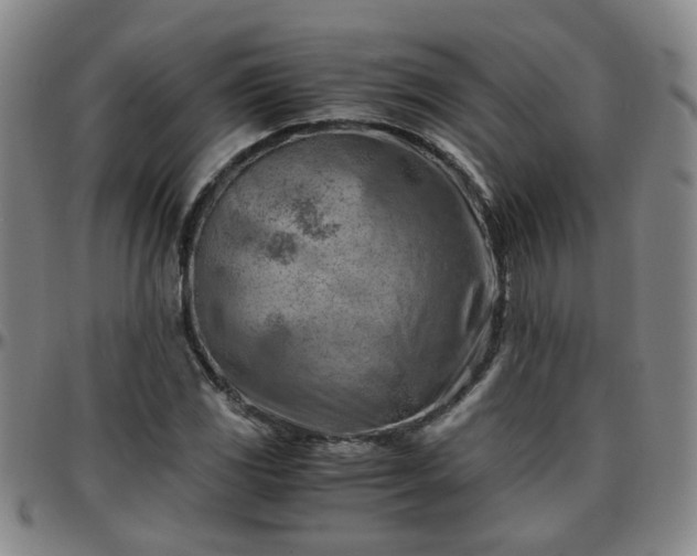 X0000096441117200801311423