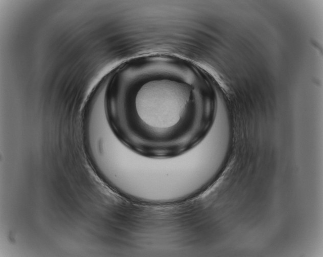 X0000096441118200801311423