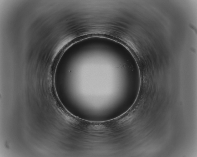 X0000096441119200801311423