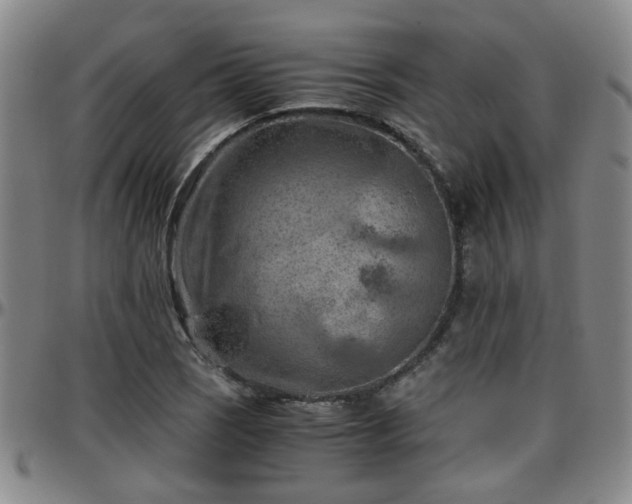 X0000096441121200801311423