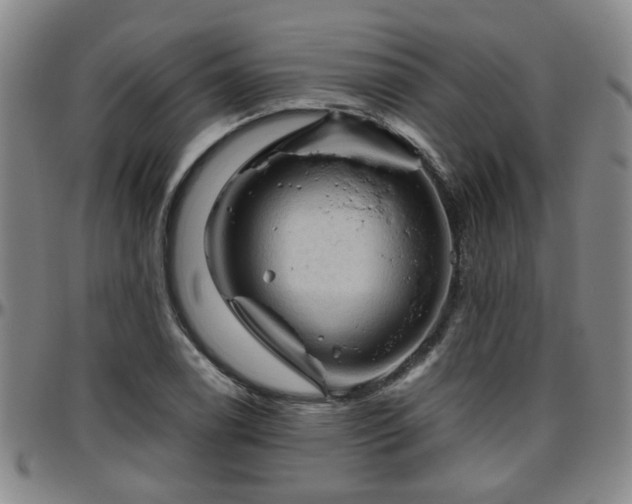 X0000096441122200801311423