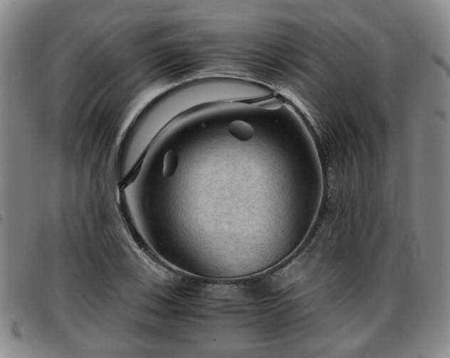 X0000096441123200801311423
