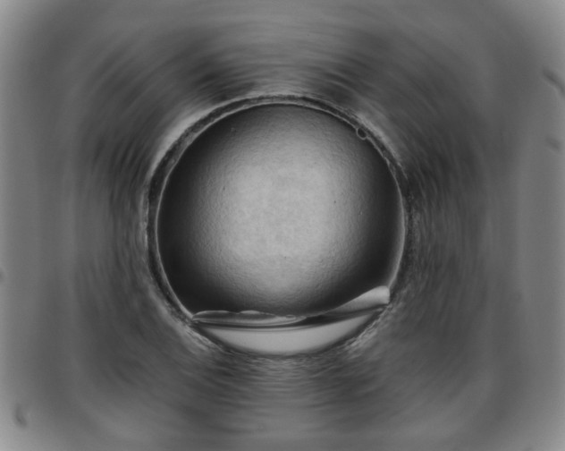 X0000096441124200801311423