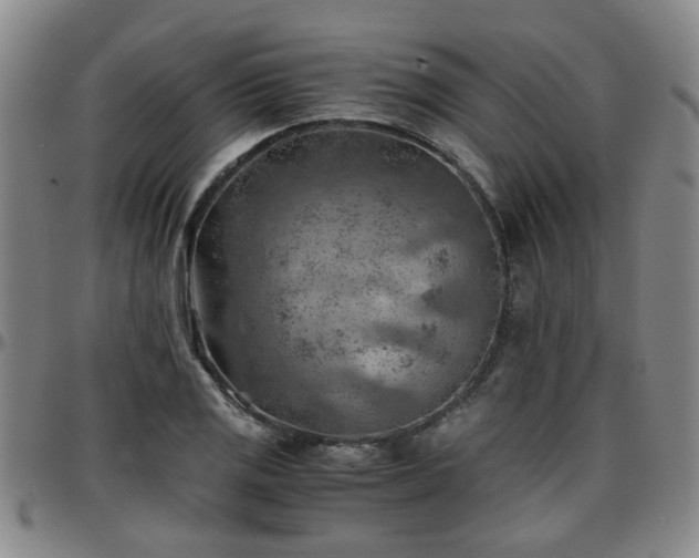 X0000096441125200801311423
