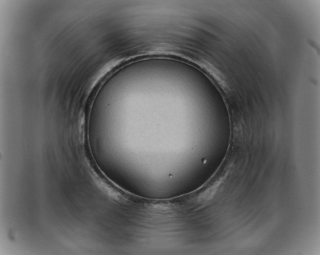 X0000096441126200801311423