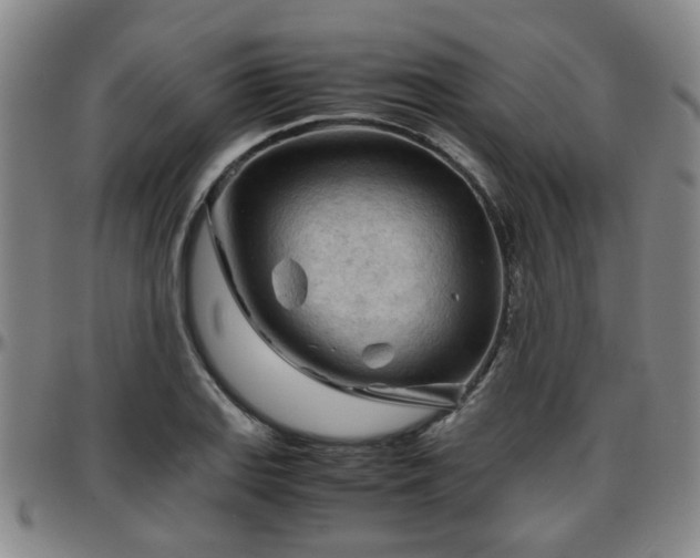 X0000096441127200801311423