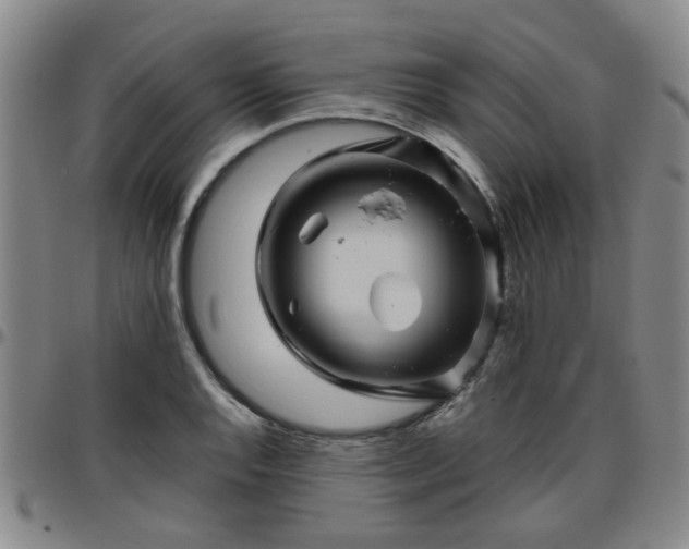 X0000096441128200801311423