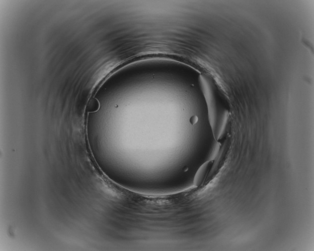 X0000096441129200801311423