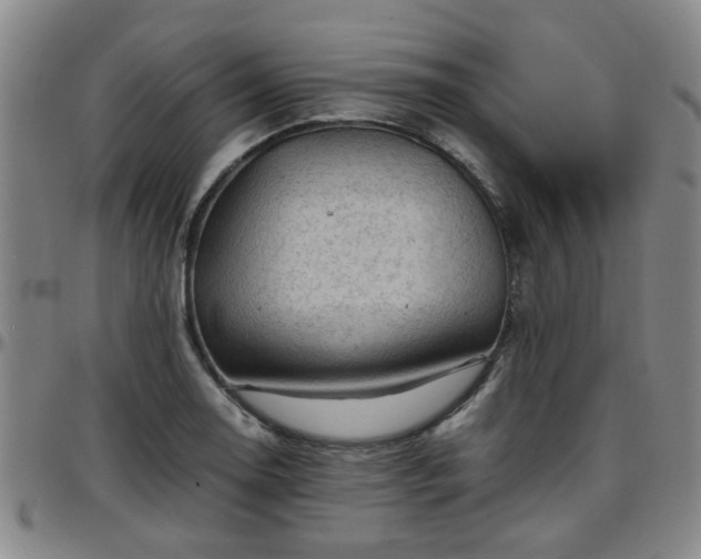X0000096441130200801311423
