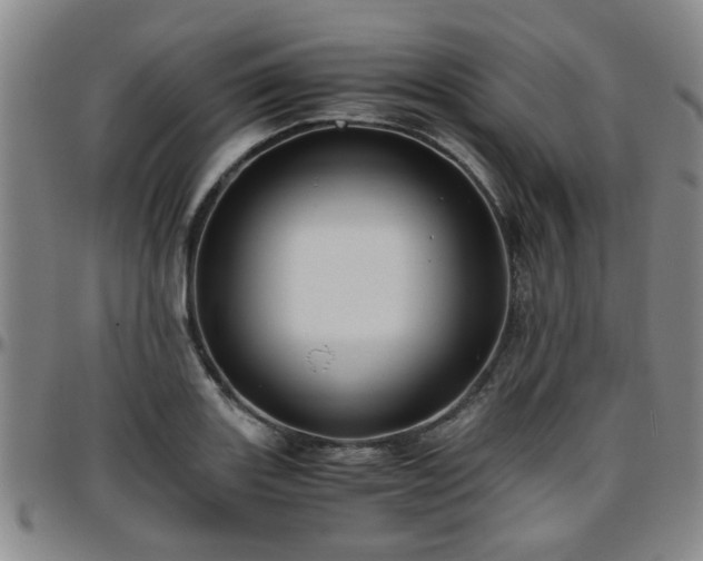 X0000096441131200801311423