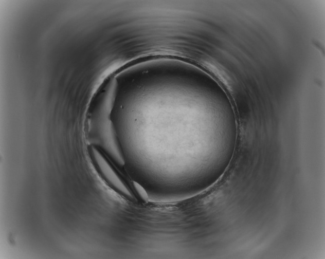 X0000096441133200801311423