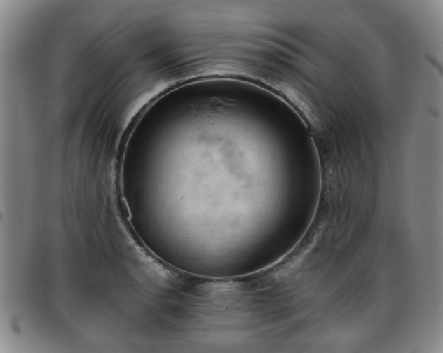 X0000096441134200801311423
