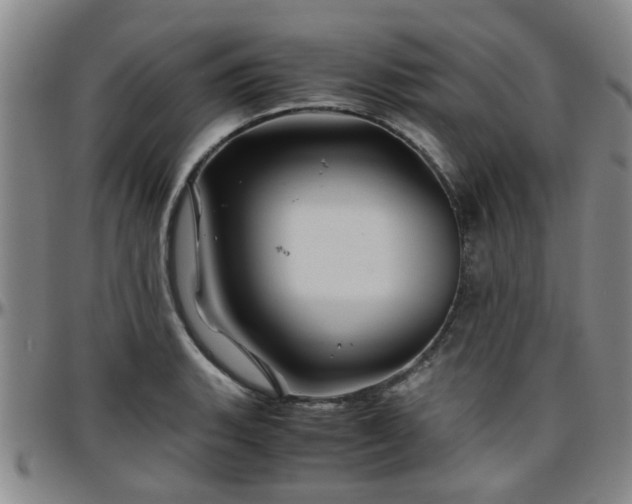 X0000096441135200801311423