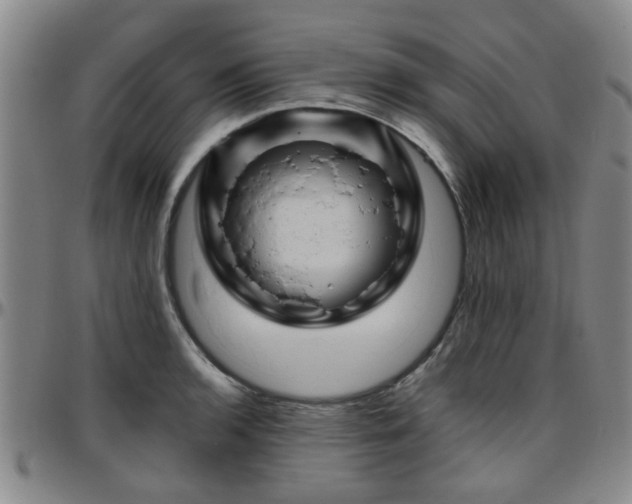 X0000096441136200801311423