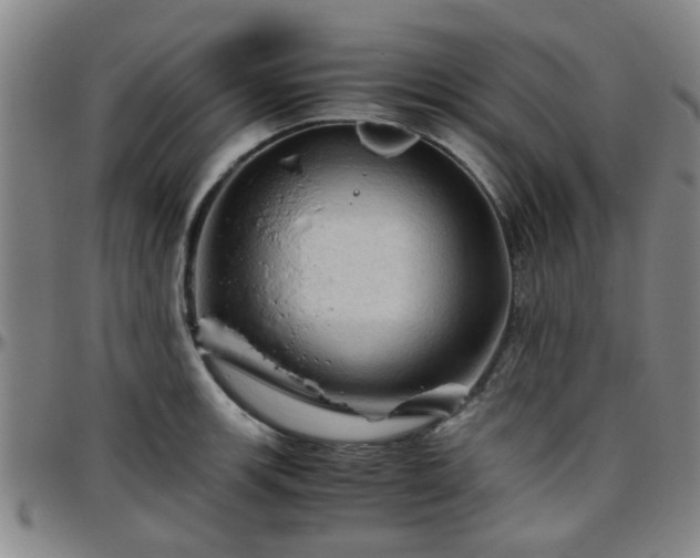 X0000096441139200801311423