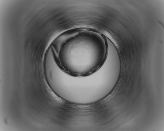 X0000096441140200801311423