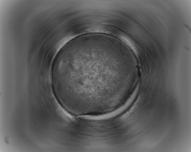 X0000096441141200801311423