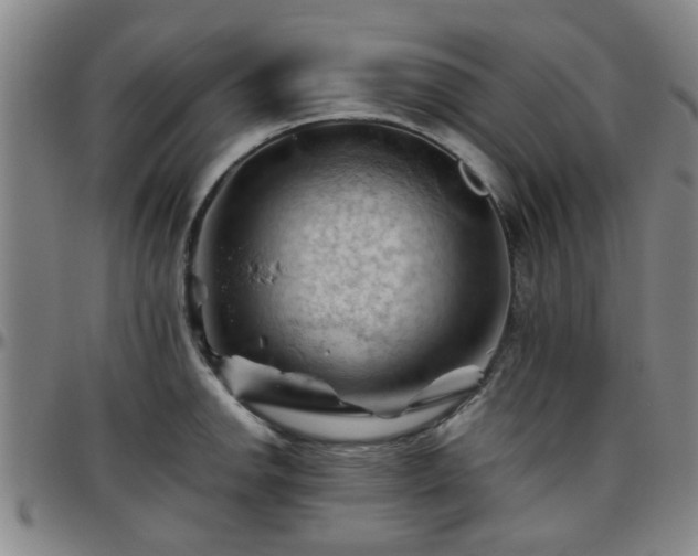 X0000096441142200801311423