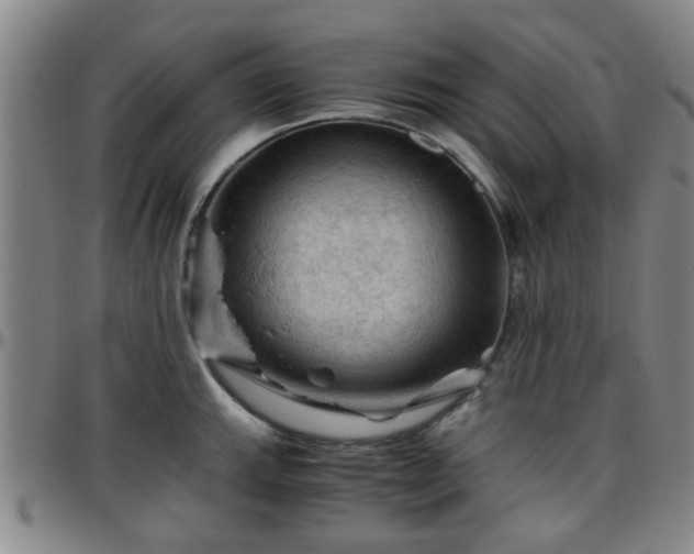 X0000096441143200801311423